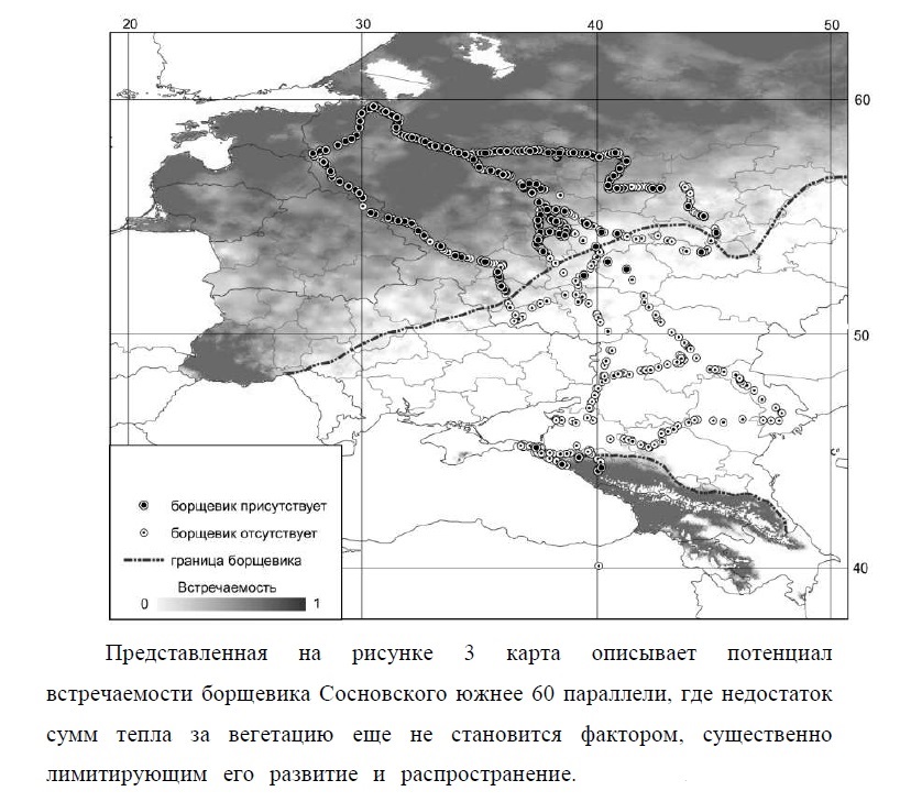 Борщевик карта распространения