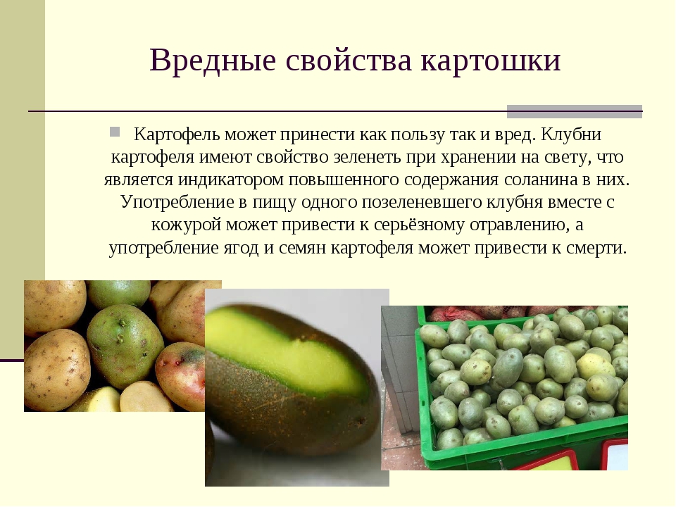 Можно ли есть картошку. Полезные качества картофеля. Польза картофеля. Полезные вещества в картошке. Польза картошки.